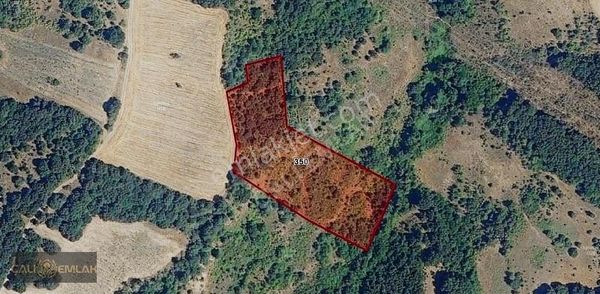 Mustafakemalpaşa Lütfiye De Satılık Yatırımlık Tarla