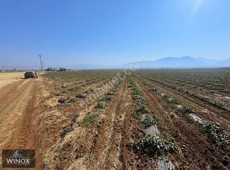 Acıpayam, Akalan Mah. De 1.995 M2 Arazi Fırsatı