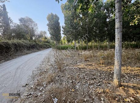 Başdekor Gayrimenkul'den Satılık Kavaklık Tarla