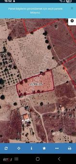 Garipçe Küçük Kumda Uygun Bağ