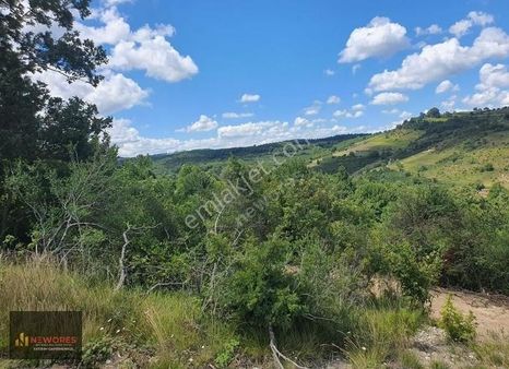 Kandıra'da Satılık Tarla-fındıklık