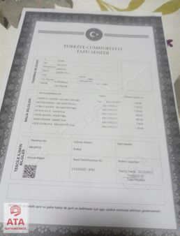 Selçuk Şirince Sarıkaya Mevkiinde 5.5 Dönüm Satılık Zeytinlik