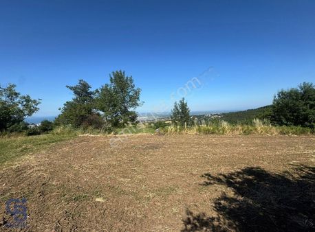 Cb/park Tekkeköy Çırakman'da Deniz Manzaralı Satılık Tarla