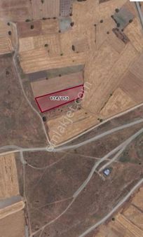 Balıkesir Altıeylül Paşaköy Mahallesi 4415m2 Satılık Tarla