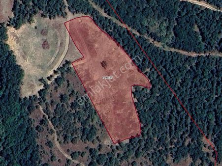 Kestel Kayacıkda Gölcük Göletine Yakın Konumda Satılık Tarla