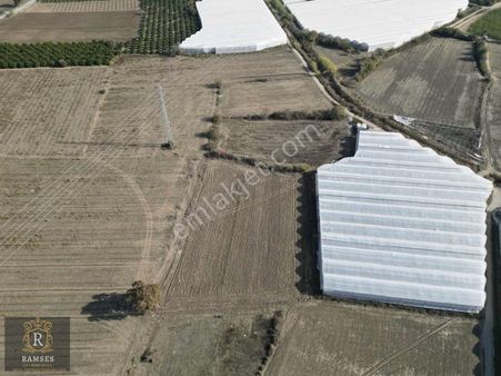 Sarılarda İmar Sınırında Tek Tapu Satılık Tarla