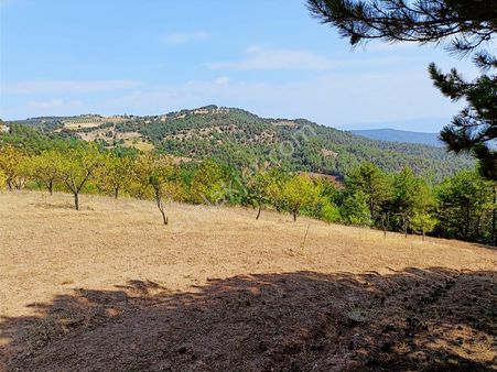 Sakarya Taraklı Pirler'de Manzaralık Hobi Bahçelik 5.291 M2