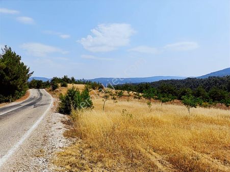 Sakarya Taraklı Pirler'de Uygun Yatırımlık Tarlalar 11.240 M2