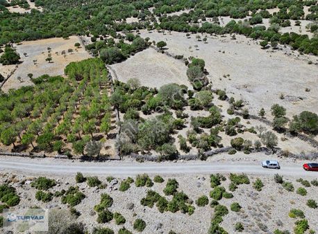 Turyap'tan Fırsat Satılık Tarla