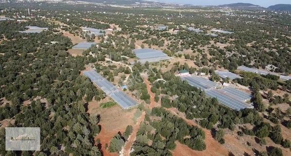 Mersin Erdemli Güzeloluk 5.5 Dönüm Hazır Sera