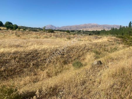 Hobi Bahçesi İçin İdeal Tarla