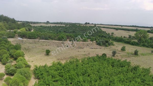 Çanakkale Ezine Çamlıca Yola Cephe Kupon Arazi