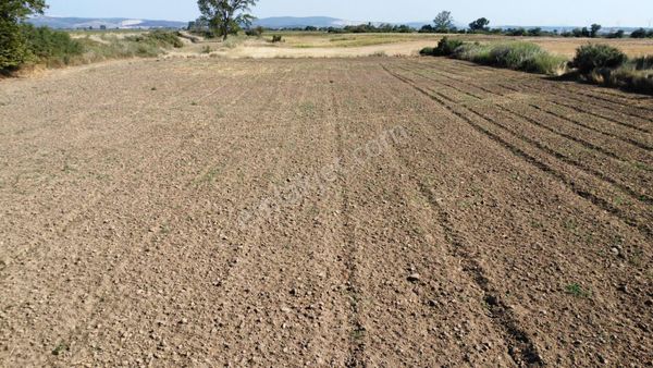 Çanakkale Merkez Çıplak Köyünde 5312 M2 Satılık Tarla
