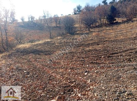 Ömer G.menkulden Pazarcık Nacar M.akif Mahallesinde Satılık Bag