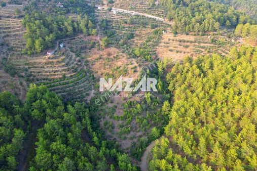 Alanya Şıhlar Köyü'nde 22.255 M² Satılık Tarla
