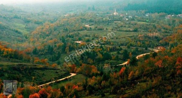 Müstakil Ev Ve Arsa!!