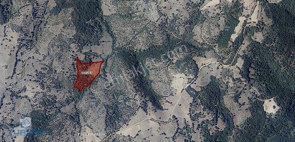 Çanakkale / Çan / Asmalı Köyünde Yatırımlık Fırsat!