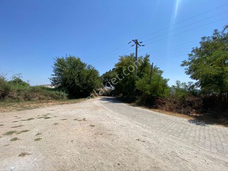 Aydın Efeler Pınarderede Satılık 16.636 M2 Ekilebilir Tarla