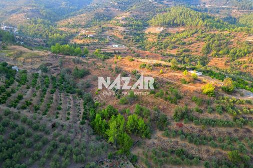 Alanya Şıhlar Köyünde 6.893 M² Satılık Tarla