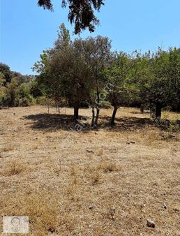 Bodrum Turgutreis De Satılık Yatırımlık Tarla