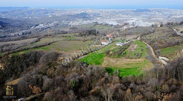 Yalova Kirazlı Köyü Girişinde Yola Cephe 1592 M2 Müstakil Parsel