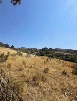 Gömeç Merkeze Yakın 8.317 M2 Arsa