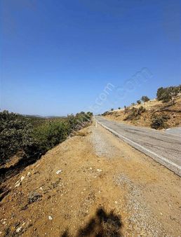 Gömeç Kobaşlar Mahallesi 1.300 M2 Arsa