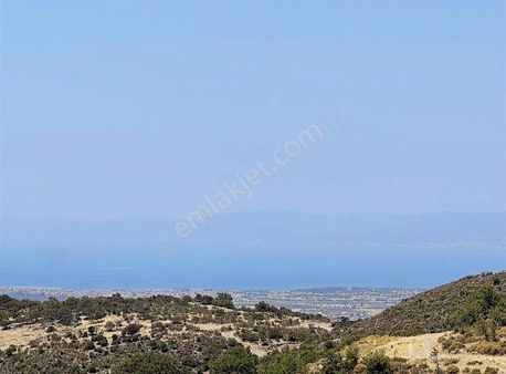 Burhaniye Çallı Körfez Manzaralı 4.750 M2 Arsa