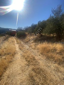 Ayvacık Arıklı Koyunde Denız Manzaralı Arsa