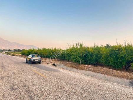 Goldhouse Dan Satılık Tarla Doğa Manzaralı 5299 M2 Fırsat