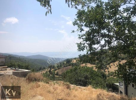 Kv Gayrimenkul'den İznik Gürmüzlü Mah. Yatırımlık Satılık Bahçe