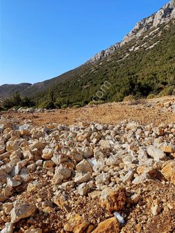 Cb Giz'den Kaş Bezirgan'da Satılık 500 M2 Tarla