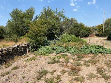 Bodrum'a Yakın, Köy İmarına Uygun 505 M2 Tarla