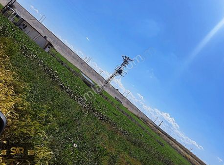 Edirne Yenikadın Köyünde Satılık Yatırımlık Fırsat Arazi