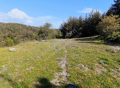 Yıldırım Mühendislikten Ören/ Yoğunoluk Mah."11.800 M2" Tarla