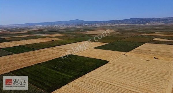 Rw Detay'dan Alpu Karakamış Ta Yola Cephe, Sulu Tarla