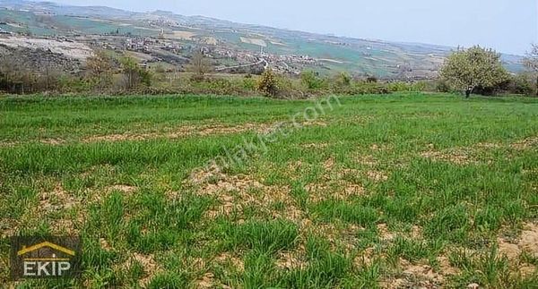 Sakarya Kaynarca Taşoluk Mevkiinde. 3,680 M2 Arsa