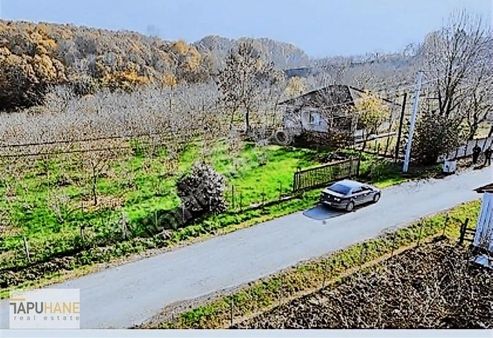 Tapuhane Gayrimenkul'den Yeşilvadi'de Satılık Arsa Ve Fındıklık