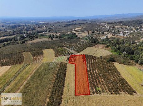 Sakarya Hendek Karatoprak Köyü Satılık 4.443 M2 Tarla