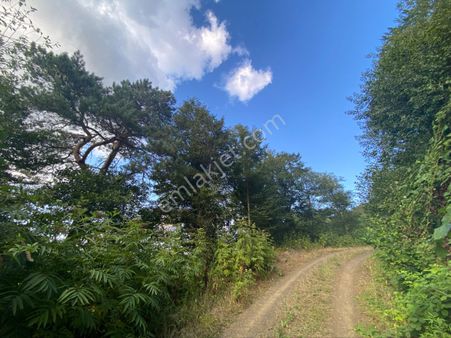 Akçakale De Satılık Arazi