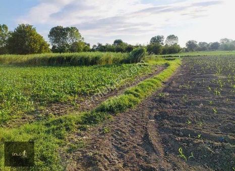 Mudanya Hançerli De Satılık Tarla 1 Dönüm 247 M2