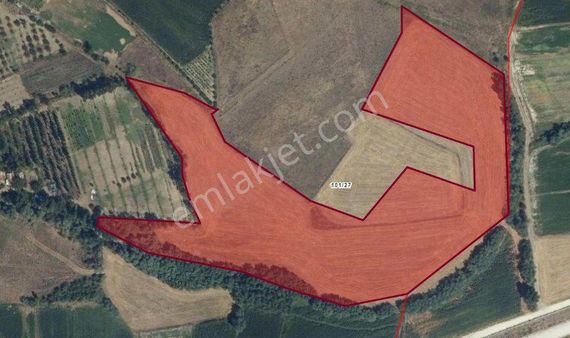 Tokat Havaalanı Yanında 28.172m2 Sulu Özel Ürün Arazısı