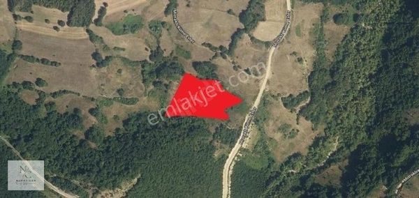 Sinop ,gerze ,karlı'da 8 Dönüm Satılık Tarla