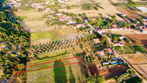 Muğla Yenice’de 1.174 M2 Satılık Tarla