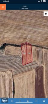 Tekirdağ Hayrabolu Satılık Tarla