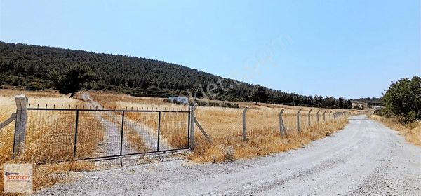 Aliağa Samurluda Yolu Açık Su Depolu 408 M2 Hobi Bahçesi