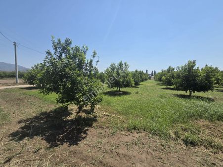 Akçataş Mahallesinde İmar Yakını 2500 M2 Tarla Satılık