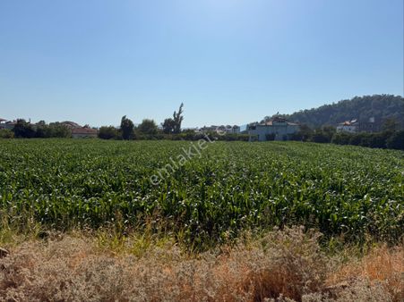 Fethiye Yolu Üzeri Kaçırılmaz Fırsat! Ticari İmarlı, 8800 M² Arsa