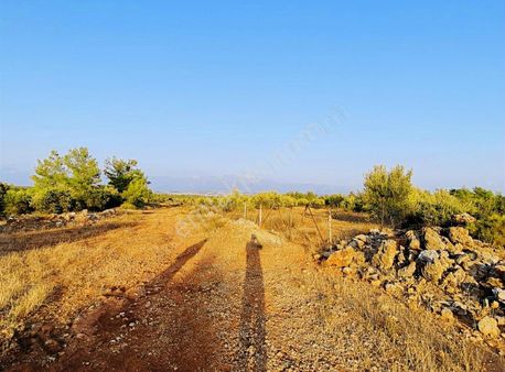 Aksu Topallı'da Köşe Başı 3 Tarafı Yol 388m2 İmarlı Villa Arsası