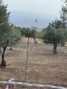 Sakarya Mah . 109 Metre Hisseli Parsel